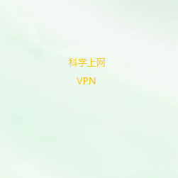 专业网络加速器